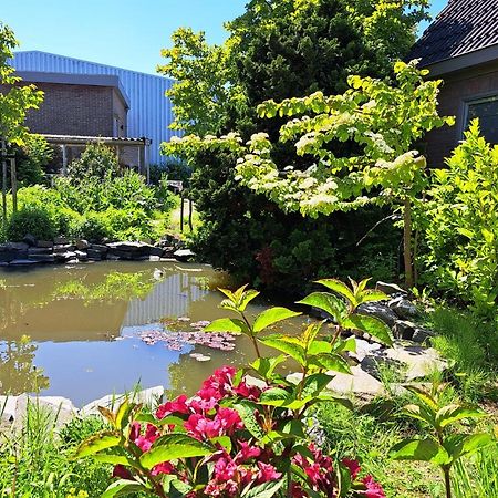 Luxe Ruime Studio Op Unieke, Rustige Locatie Dokkum Zewnętrze zdjęcie